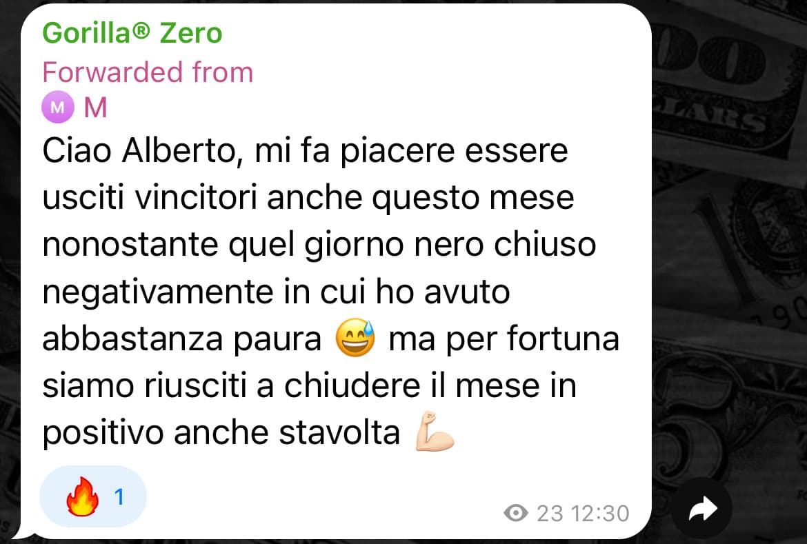Feedback 12